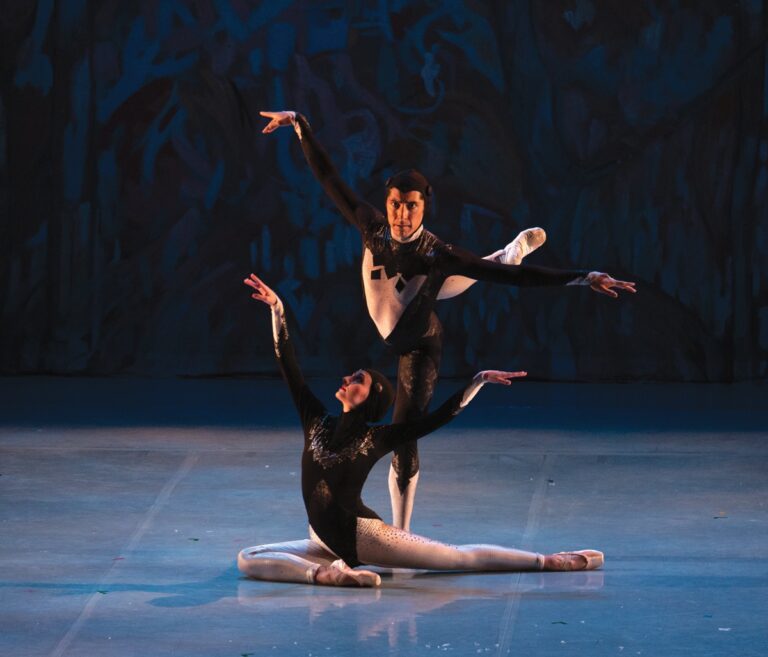 Image of the Nutcracker Performance