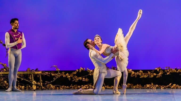 Sleeping Beauty Performance Image