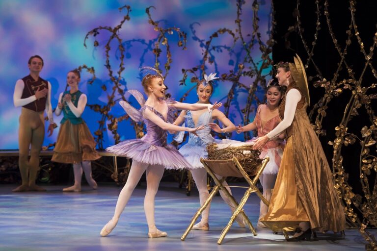 Sleeping Beauty Performance Image