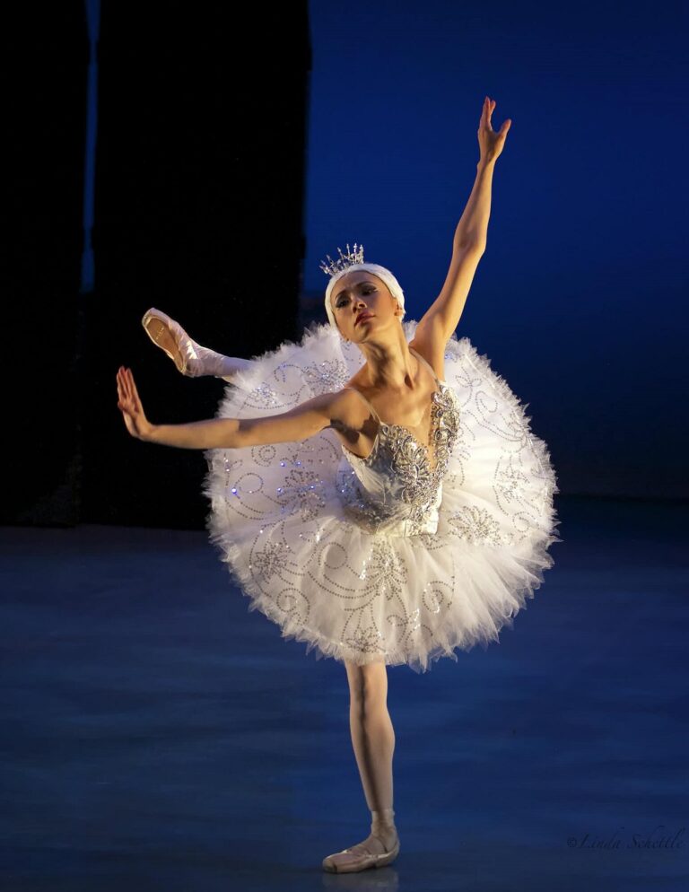 Swan Lake Performance Image